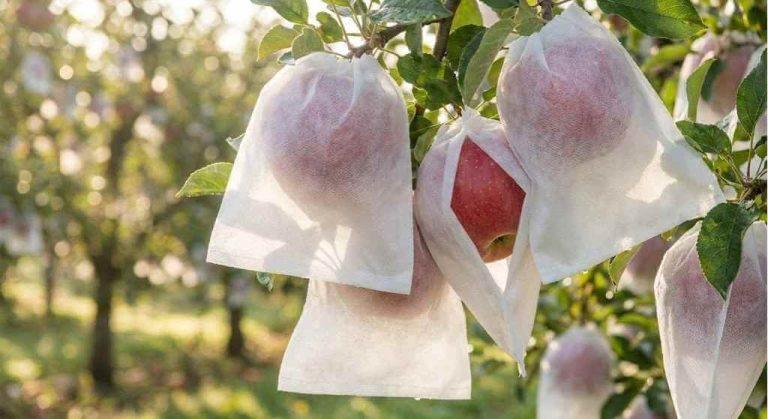 fruit bag