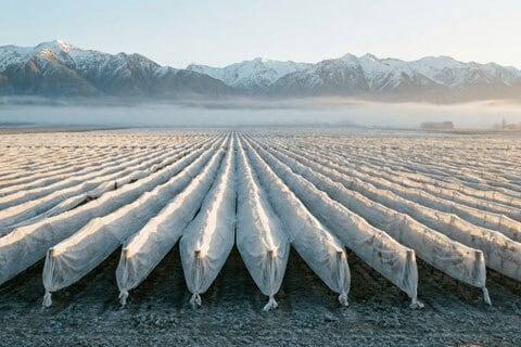 Freeze Protection Non Woven Fabric