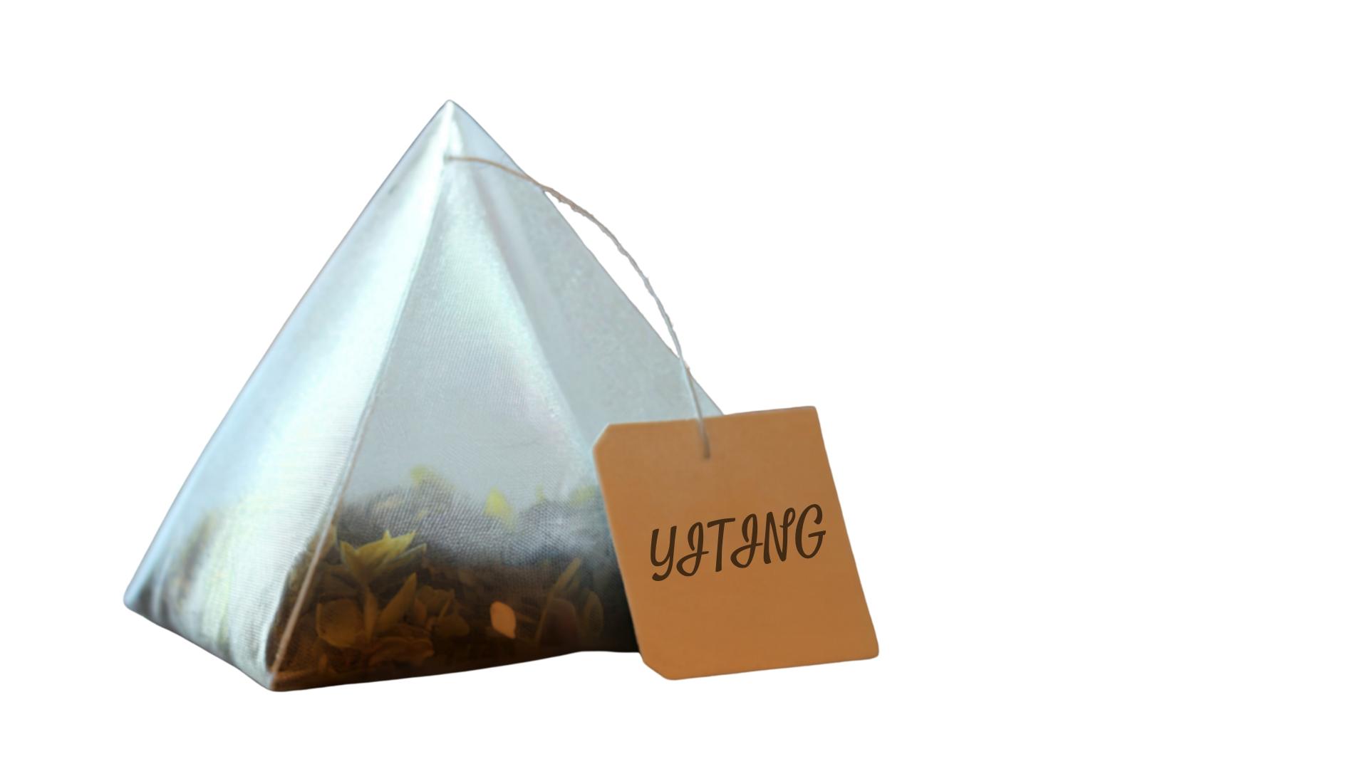 The Pyramid Tea Bag