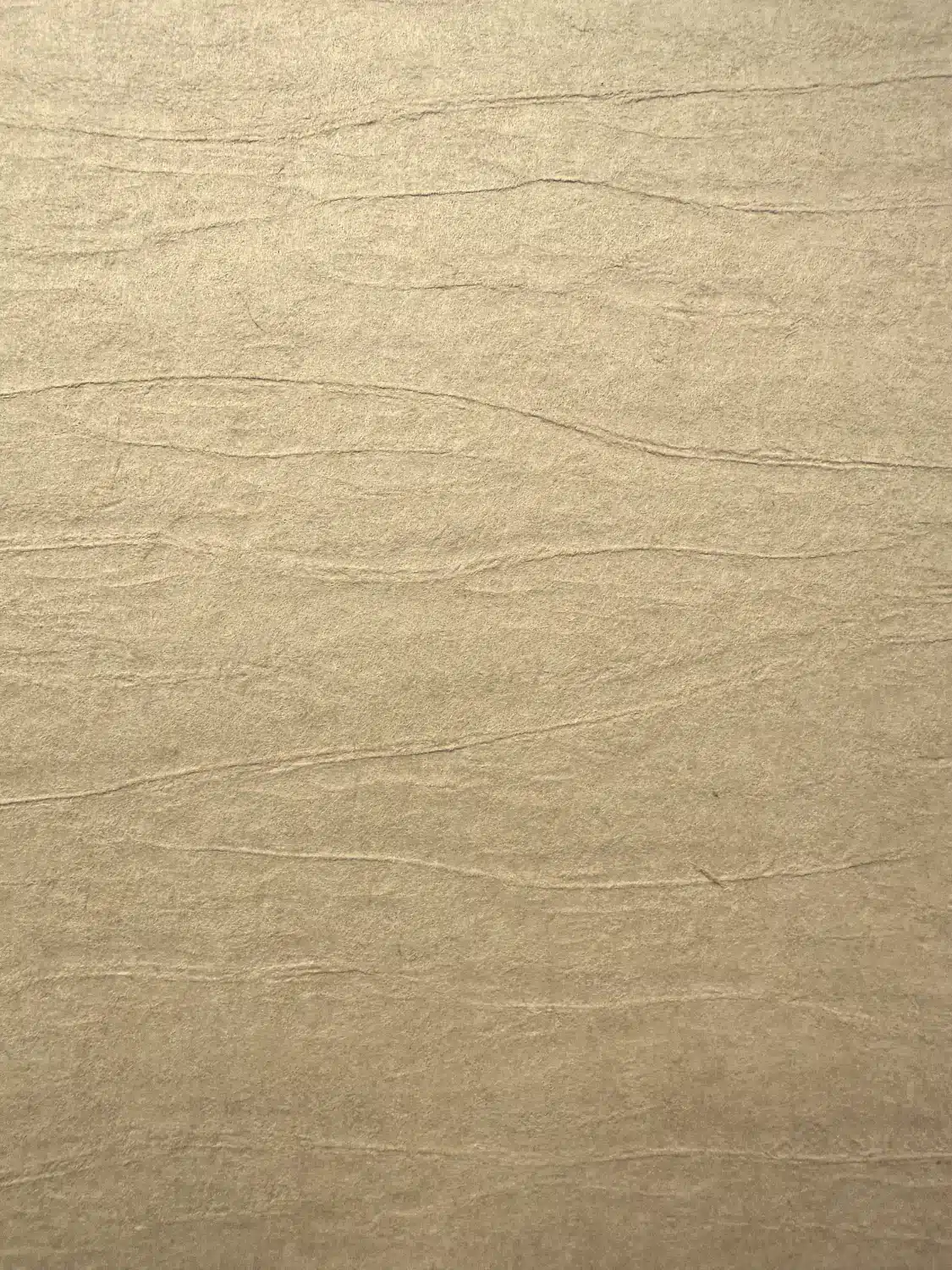 Close-up of 5700H high-flow filter paper surface texture